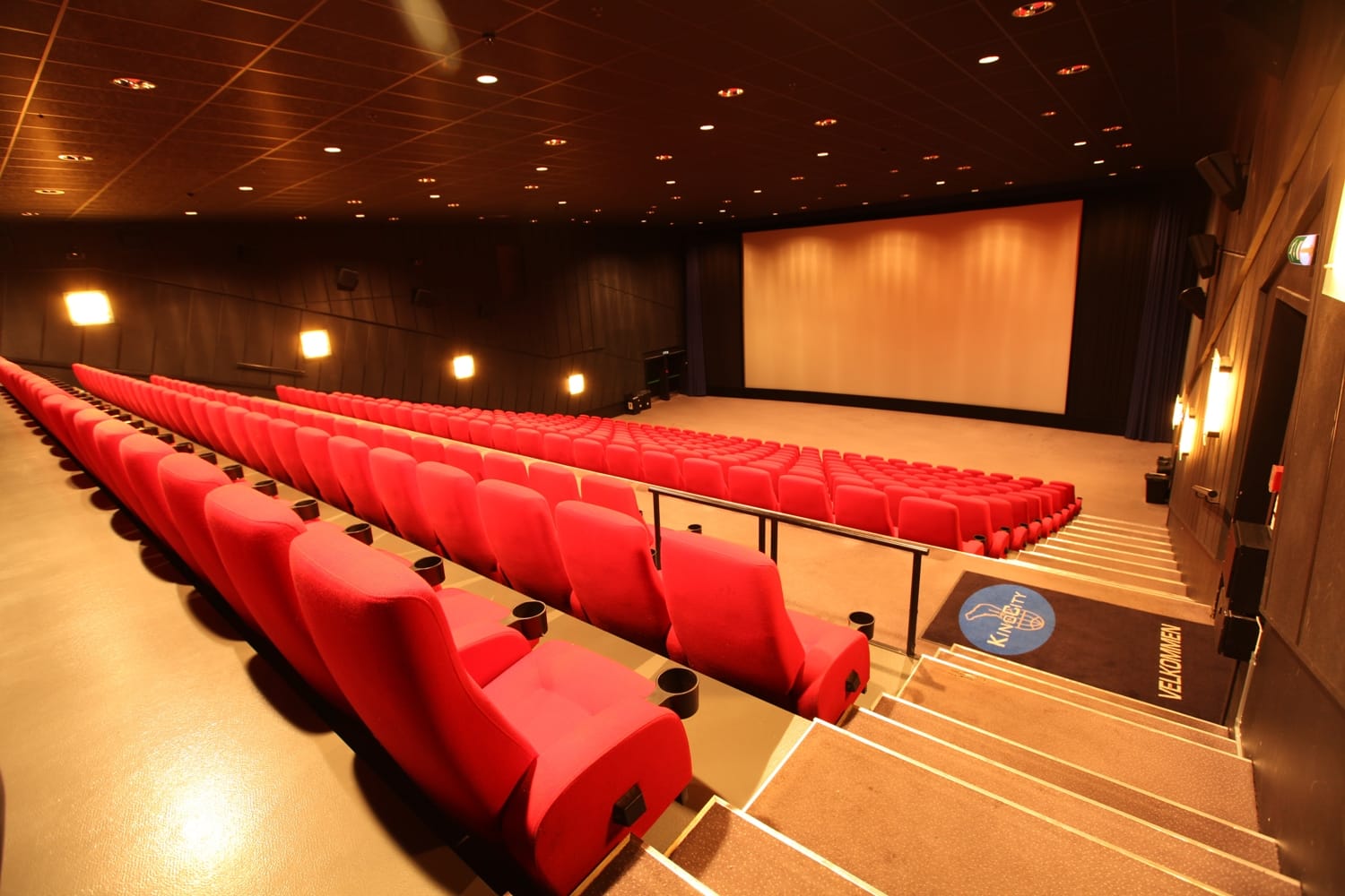 Drammen kino 9