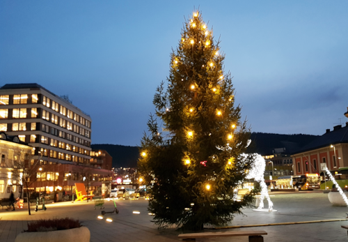 Drammen kommune søker fine juletrær