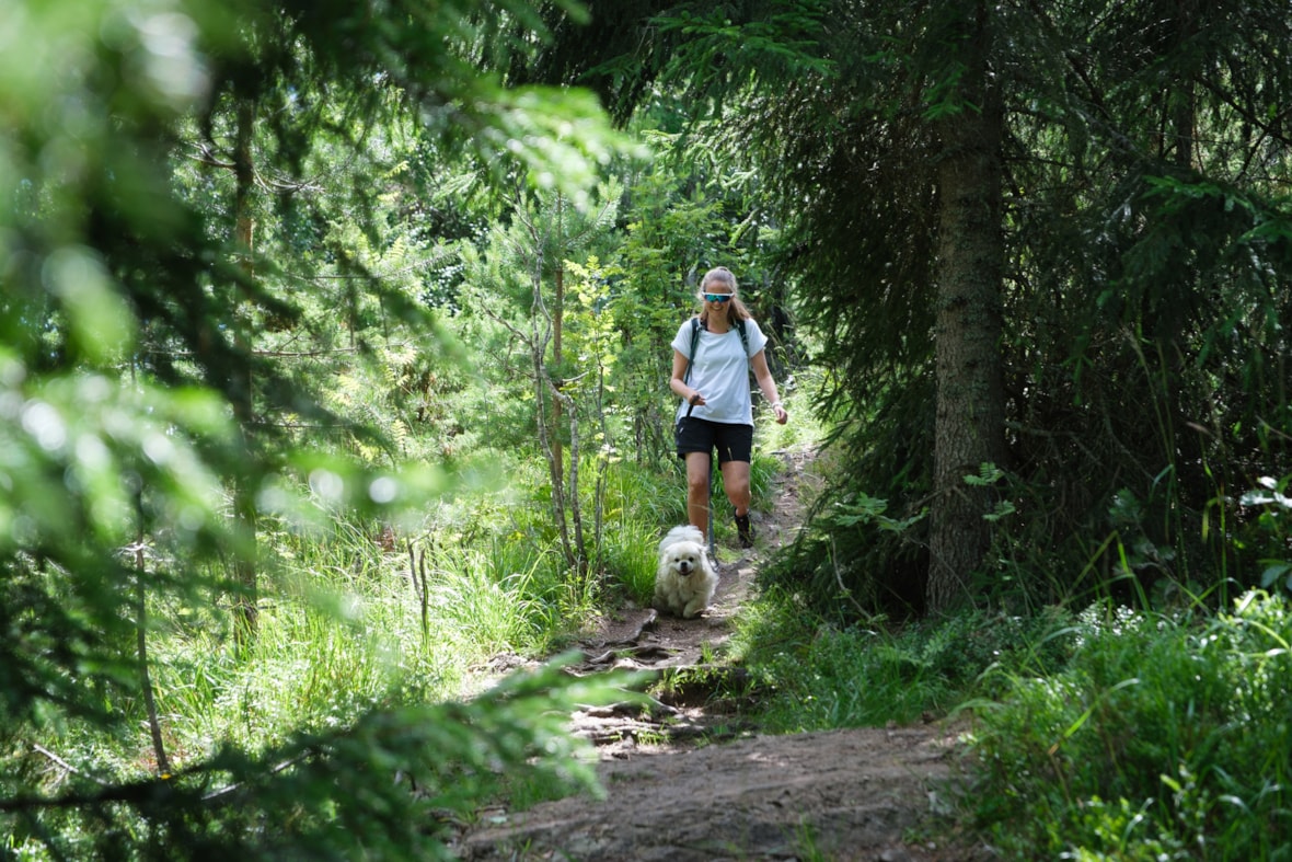 Dame på tur i skogen med hund.