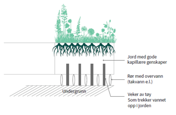 Illustrasjonen viser eksempel på plantebed