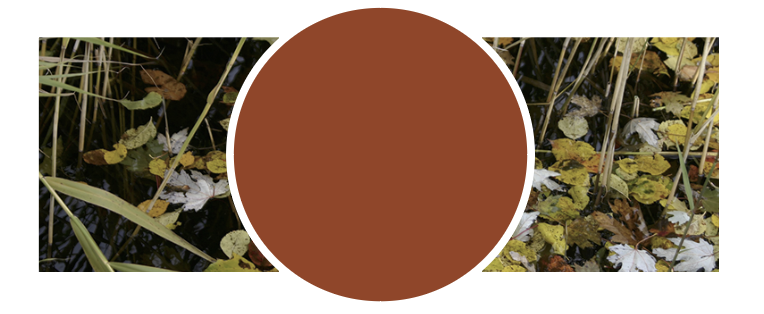 Bilde av fargen Høst fra den visuelle profilen til Drammen kommune