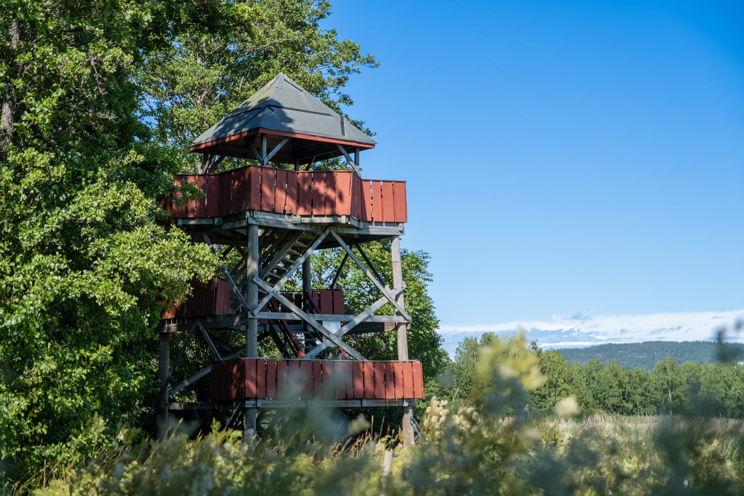 Fugletårn Grunnane naturreservat